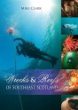 100 Dives from the Forth Bridge to Eyemouth