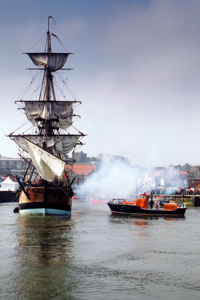 Endeavour Broadside Shark