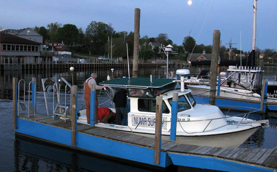 Good Ship Divercity