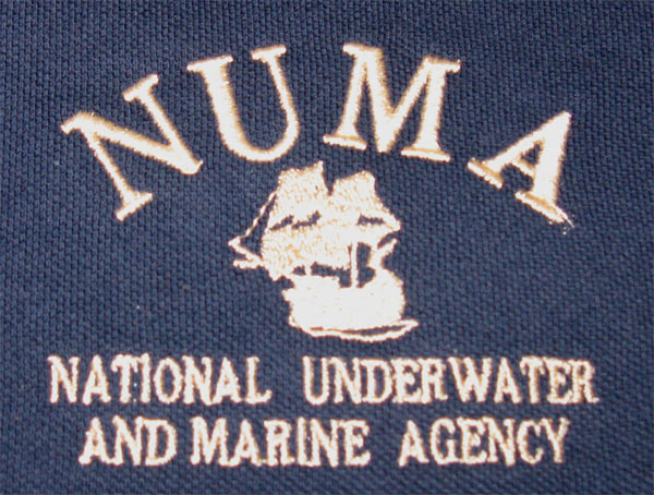 NUMA Patch