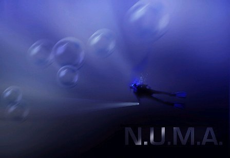 Numa Wallpaper