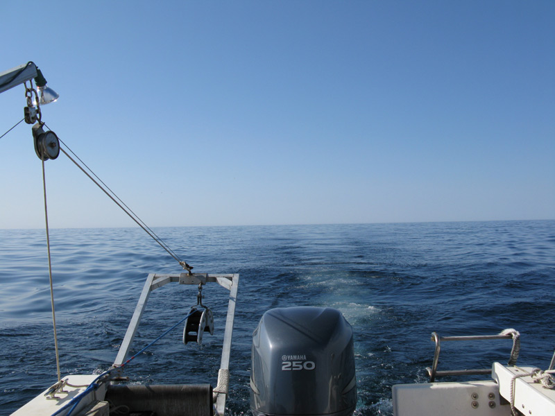 The Tow Line