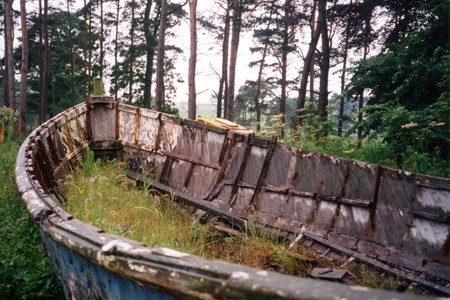An Unlikely Garden Feature