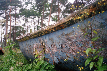 Decaying Timberwork