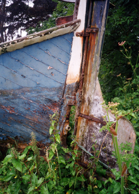 The Rudder